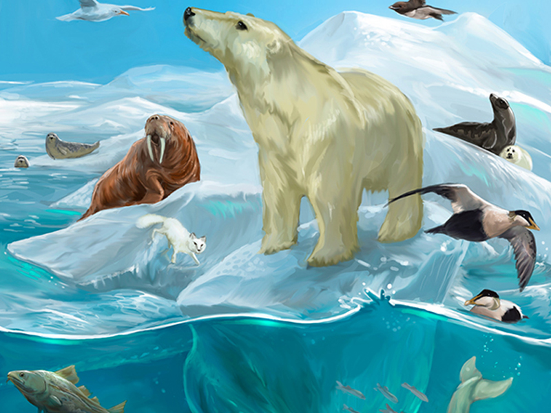 Digitaalinen kuvitus aiheena arktinen eläimistö ja eläimet kuten jääkarhu.