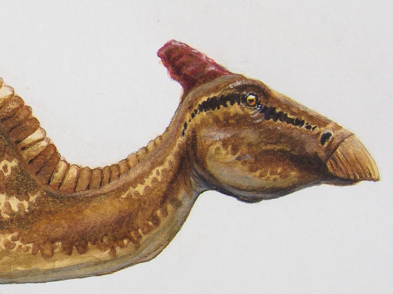 Painting of a side view of a dinosaur